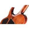Електрогітара Solar Guitars T1.6D Aged Natural