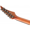 Електрогітара Solar Guitars T1.6D Aged Natural