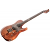 Електрогітара Solar Guitars T1.6D Aged Natural