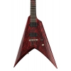Электрогитара Solar Guitars V2.6Canibalismo+