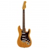 Harley Benton ST-90SA Swamp Ash DLX Series