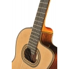 Класична гітара Takamine DH90 w/Softcase