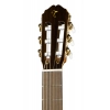 Классическая гитара Takamine EC132SC w/Softcase