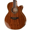 Акустична гітара Takamine EF508KC w/Softcase