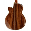 Акустична гітара Takamine EF508KC w/Softcase