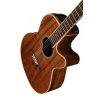 Акустична гітара Takamine EF508KC w/Softcase