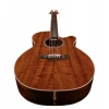 Акустична гітара Takamine EF508KC w/Softcase