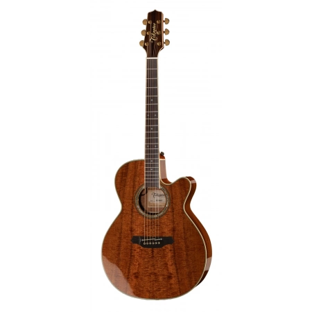 Акустична гітара Takamine EF508KC w/Softcase