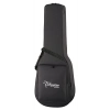 Акустическая гитара Takamine FSF40C