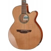 Акустическая гитара Takamine FSF40C