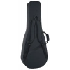 Акустична гітара Takamine GB7C w/Softcase