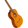 Класична гітара Takamine GC1-NAT
