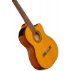 Класична гітара Takamine GC1CE-Nat