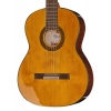 Классическая гитара Takamine GC5-NAT Classicguitar