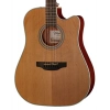 Акустическая гитара Takamine GD20CE-N