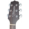 Акустична гітара Takamine GD21CE SM