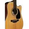 Акустическая гитара Takamine GD30CE-12N