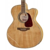 Акустична гітара Takamine GJ72CE-NAT