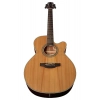 Акустическая гитара Takamine GN20CE-N