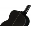 Акустична гітара Takamine GN30 B