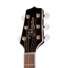 Акустична гітара Takamine GN75CEWR