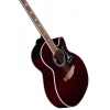 Акустична гітара Takamine GN75CEWR