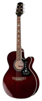 Акустична гітара Takamine GN75CEWR