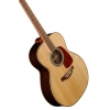 Акустическая гитара Takamine GN93 Nat