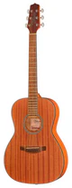 Акустична гітара Takamine GY11MENS
