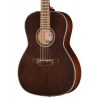 Акустична гітара Takamine GY21E SM