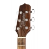 Акустична гітара Takamine GY21E SM