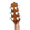 Акустична гітара Takamine GY21E SM