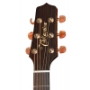 Акустическая гитара Takamine P3NC Pro Series w/Softcase