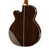 Акустична гітара Takamine P5NC w/Softcase