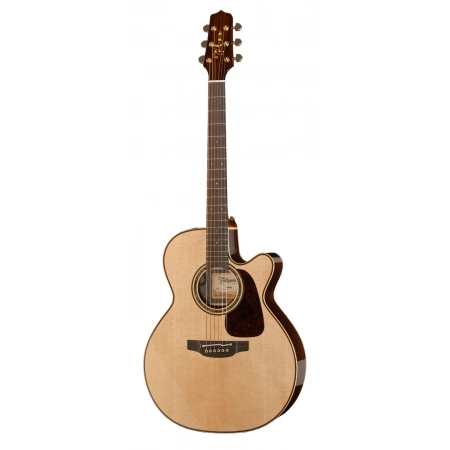 Акустична гітара Takamine P5NC w/Softcase