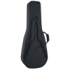 Акустична гітара Takamine P6N-BSB w/Softcase