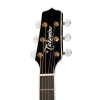 Акустична гітара Takamine P6N-BSB w/Softcase