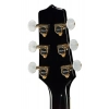 Акустична гітара Takamine P6N-BSB w/Softcase