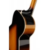 Акустична гітара Takamine P6N-BSB w/Softcase