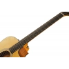 Акустическая гитара Taylor 110ce - Sapele