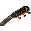 Акустическая гитара Taylor 210ce Plus