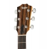 Акустична гітара Taylor 212ce Spruce/Walnut
