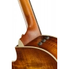 Акустична гітара Taylor 214ce-K DLX Special Edition HB
