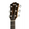 Акустическая гитара Taylor 214ce LH Walnut