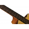 Акустическая гитара Taylor 214ce Plus