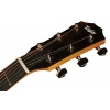 Акустическая гитара Taylor 214ce Plus