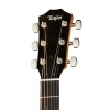 Акустическая гитара Taylor 214ce Plus