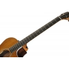 Акустична гітара Taylor 214ce Special Edition Honeyb