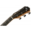 Акустична гітара Taylor 214ce Special Edition Honeyb