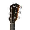 Акустична гітара Taylor 214ce Special Edition Honeyb